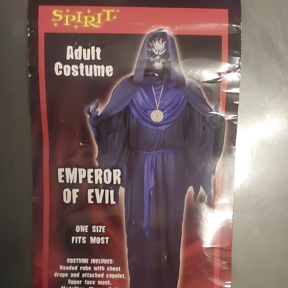 Spirit Purple and Black Halloween Costume